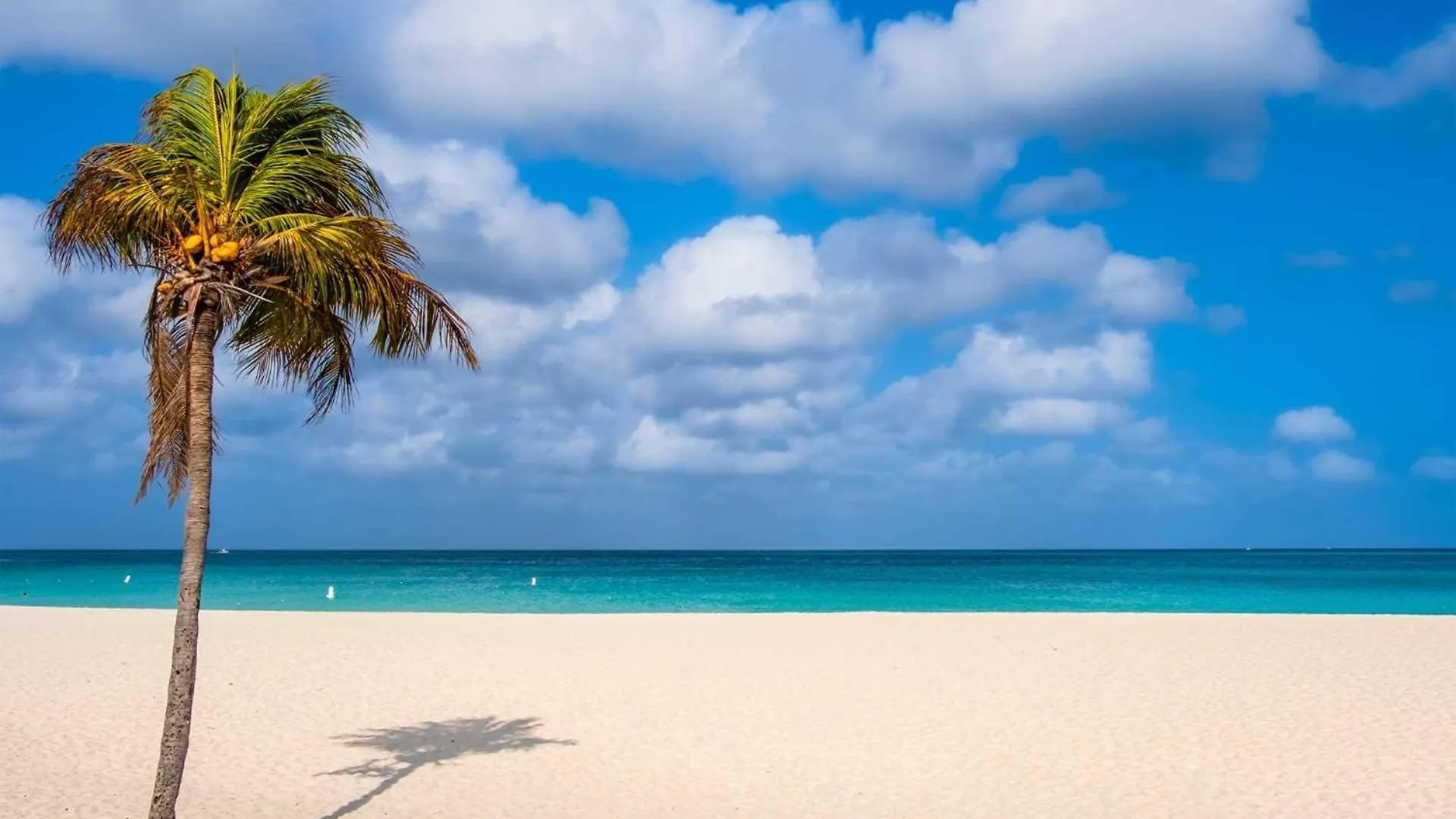 Eagle Beach - Diamond Garden 2Br Condo - Lv104 Palm Beach Aruba