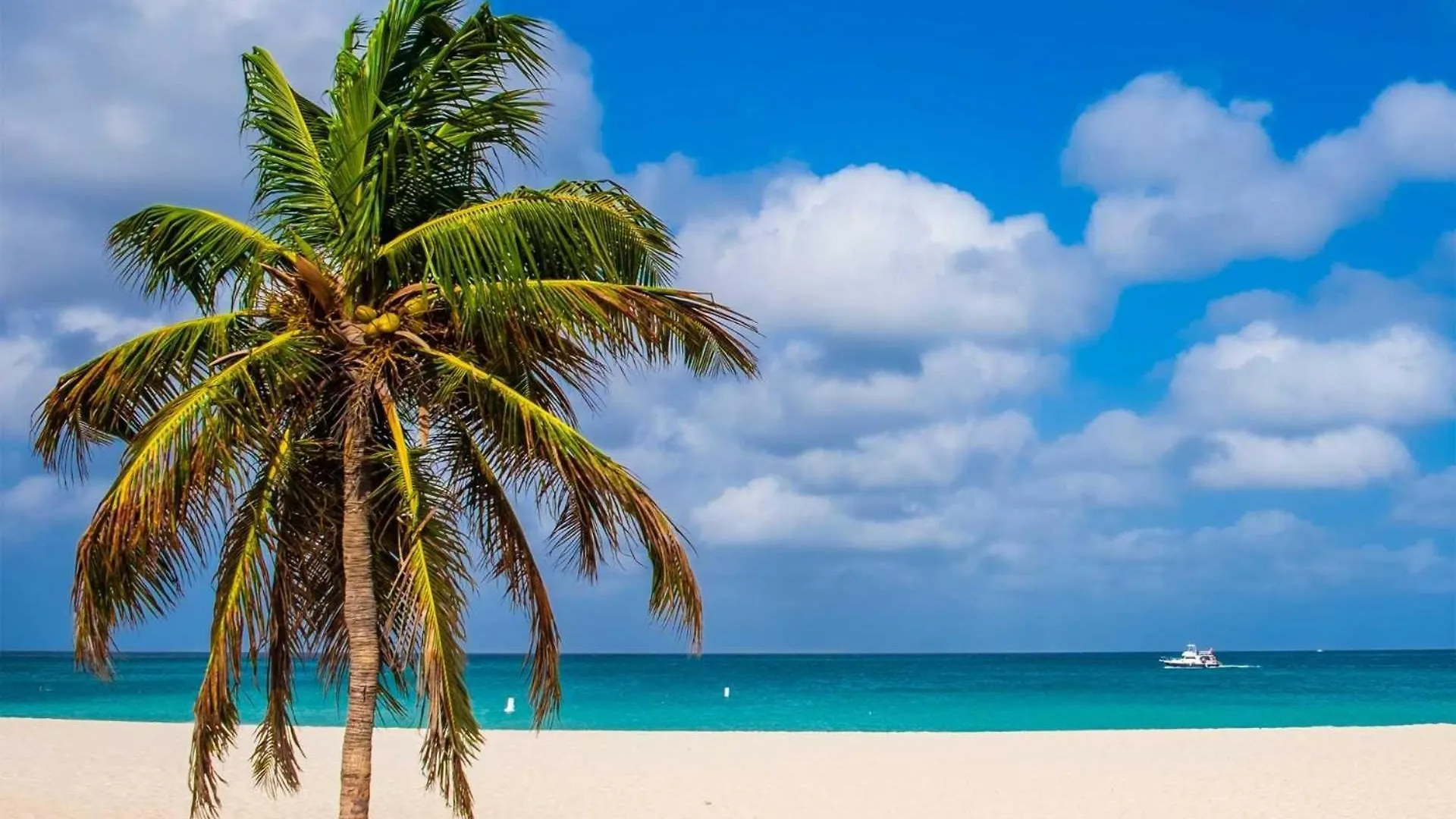 Semesterbostad Eagle Beach - Diamond Garden 2Br Condo - Lv104 Palm Beach